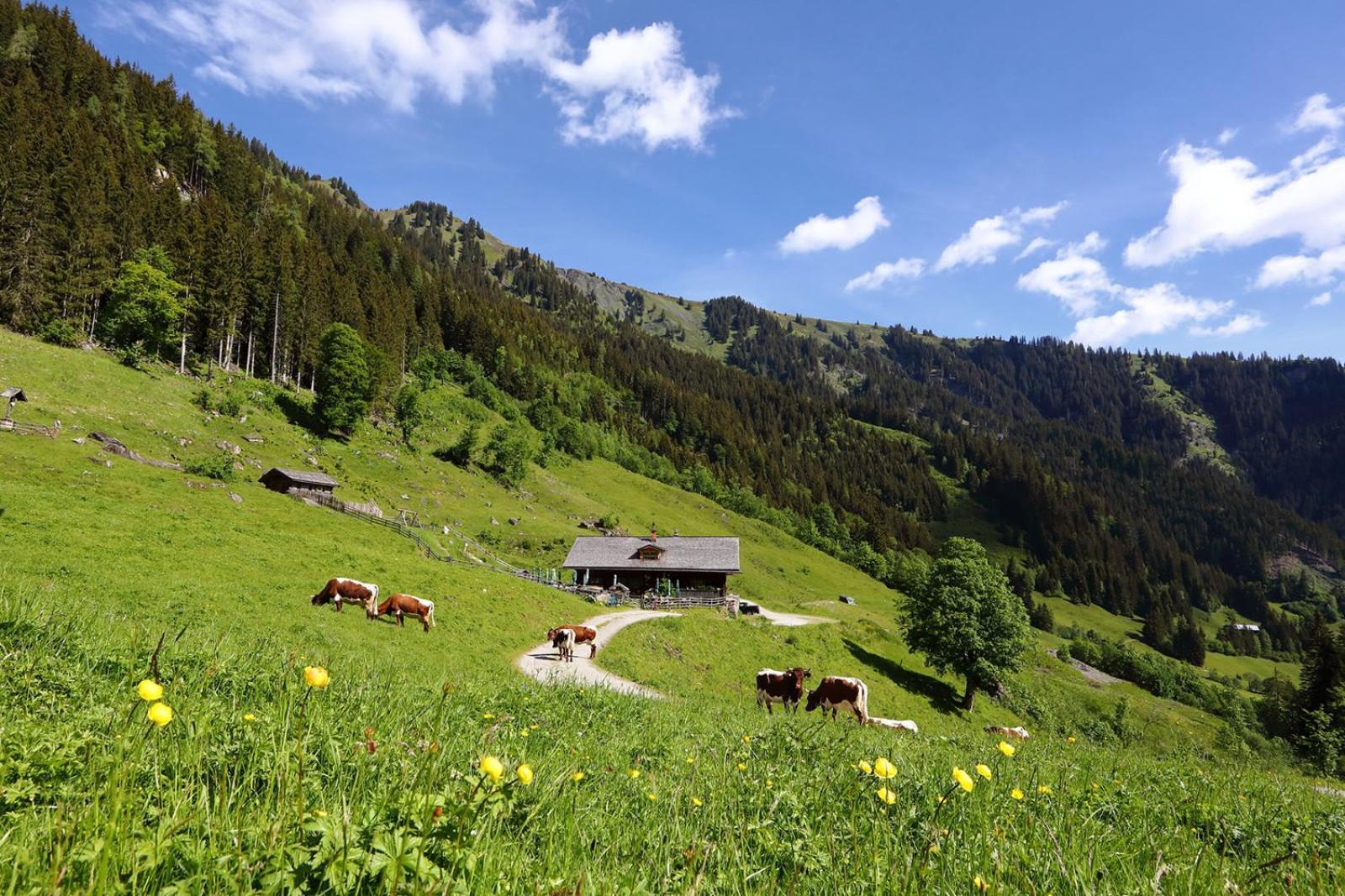 Appartement-Pension Kendlbacher Grossarl Dış mekan fotoğraf